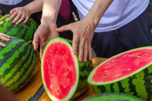 大学吃瓜pdf,揭秘校园热点事件背后的真相