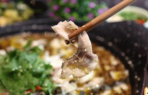 吃瓜泉州人,泉州“吃瓜群众”的日常生活与趣味