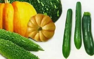 南北吃瓜图片,吃瓜图鉴，一图看尽地域美食差异