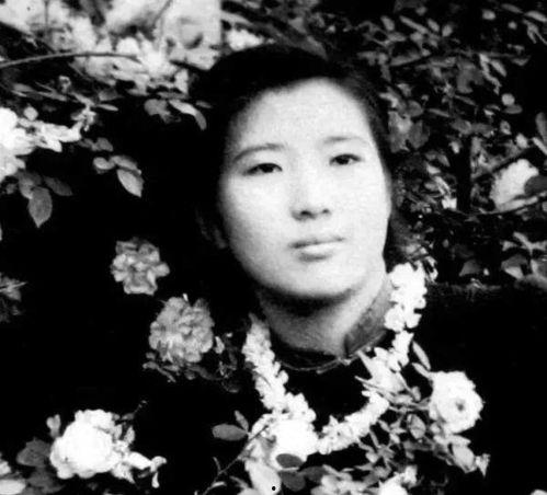 吃瓜陈柳杰,揭秘娱乐圈背后的故事与真相