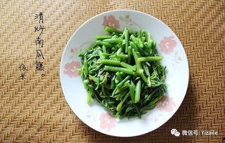 瓜梗怎么吃,探索创意瓜梗食用新方法