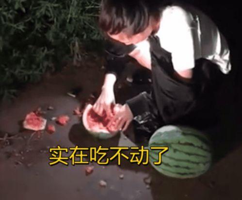 偷瓜吃视频,一场欢乐的“偷瓜大作战”