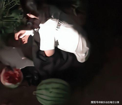 偷瓜吃视频,一场欢乐的“偷瓜大作战”