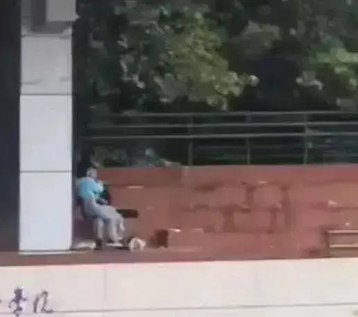 南京学校吃瓜视频,揭秘校园生活幕后趣闻