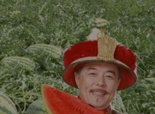 乾隆私访吃瓜,吃瓜背后的宫廷秘闻