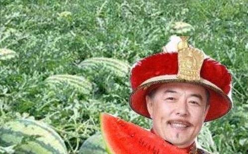 乾隆私访吃瓜,吃瓜背后的宫廷秘闻