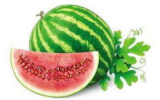 吃瓜不要太热,轻松避暑，享受清凉一夏