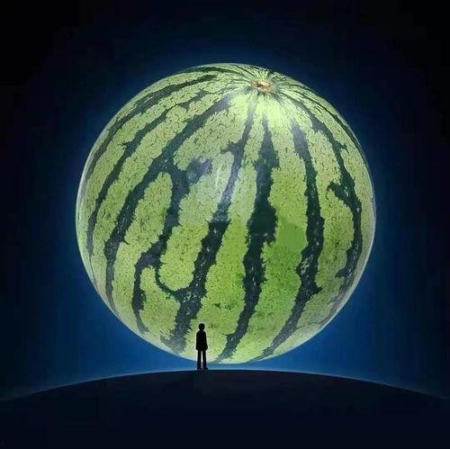 吃瓜小道,吃瓜小道带你领略明星幕后故事