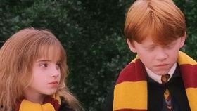 波特吃酸瓜,一场味蕾的冒险之旅