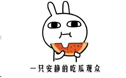 该吃瓜就吃瓜什么意思,揭秘“该吃瓜就吃瓜”的内涵与趣味
