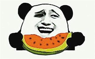 该吃瓜就吃瓜什么意思,揭秘“该吃瓜就吃瓜”的内涵与趣味