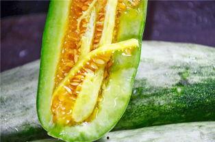 吃瓜贵阳网红,吃瓜群众的美食探秘之旅