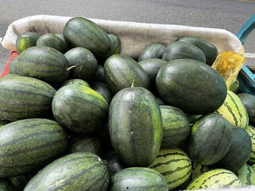 喜欢吃的瓜,探寻美食爱好者心中的甜蜜诱惑