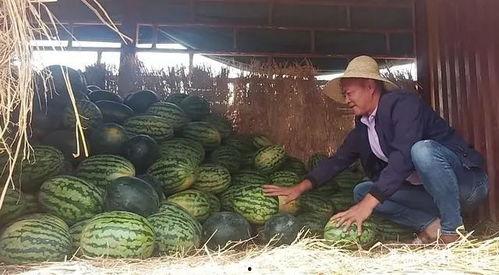 群众吃瓜哭了视频,群众看吃瓜视频感动落泪