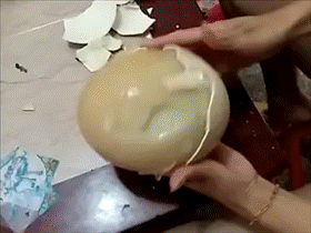 我们只是吃瓜gif,揭秘网络热图背后的趣味与真相