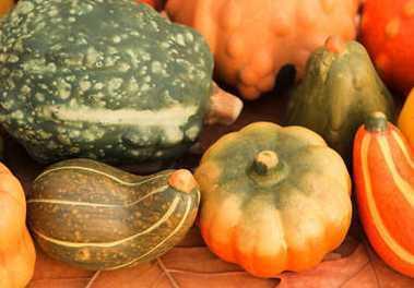 帅鸽吃瓜,揭秘娱乐圈幕后故事