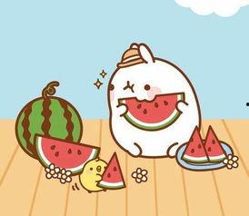 吃瓜群众的其他称呼