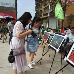 即墨吃瓜群众事件,一场网络舆论的风暴与反思