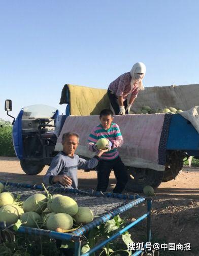 县高中吃瓜,吃瓜群众揭秘校园秘闻