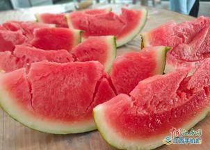 县高中吃瓜,吃瓜群众揭秘校园秘闻