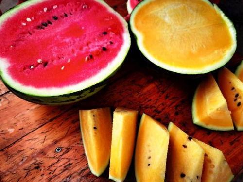 县高中吃瓜,吃瓜群众揭秘校园秘闻