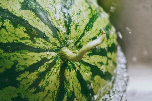 东城地下吃瓜照片,揭秘神秘吃瓜照片背后的秘密