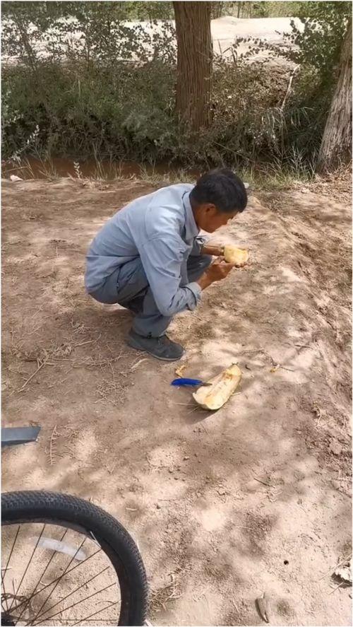 吃伽师瓜的图片