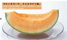 吃伽师瓜的图片