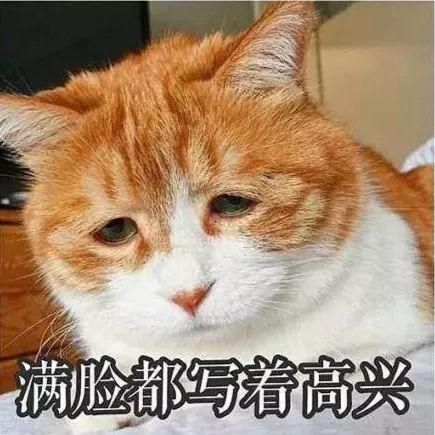 动物吃瓜带你吃瓜的故事,动物吃瓜带你穿越瓜界秘境