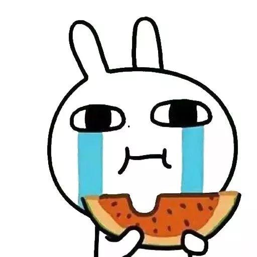 动物吃瓜带你吃瓜的故事,动物吃瓜带你穿越瓜界秘境