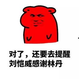 365天吃瓜群众,吃瓜群众的年度盛宴