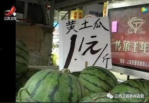 大丰县吃瓜,瓜果飘香，品味田园生活