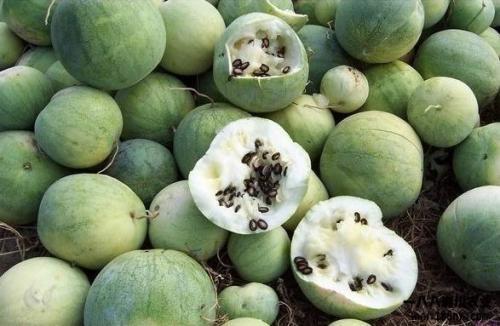 吃瓜群众是的由来,揭秘“吃瓜”文化的兴起与演变