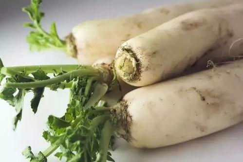 羊吃红瓜叶怎么处理,羊误食红瓜叶紧急处理攻略