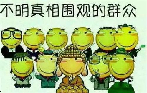 电梯吃瓜群众后续,揭秘都市生活里的八卦风云