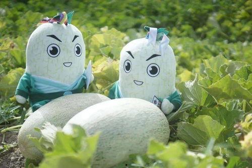 吃瓜止于唇齿,揭秘网络舆论的边界与责任