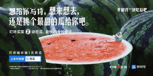 吃瓜宣言文案图片,揭秘娱乐圈幕后真相