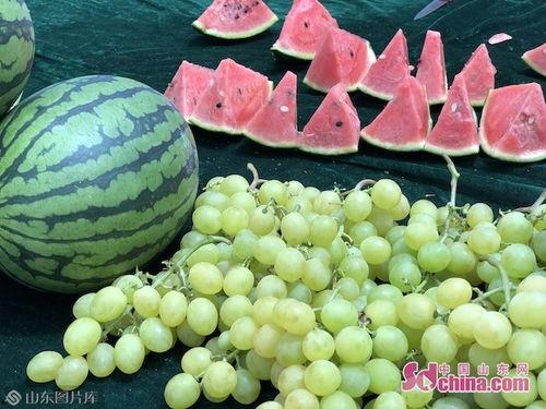 山东吃瓜歌,揭秘鲁地美食风情
