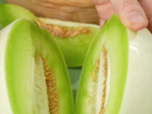 山东吃瓜歌,揭秘鲁地美食风情