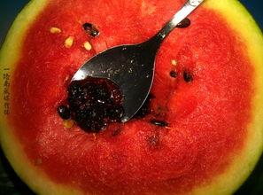 带你吃瓜奇葩汽水,带你品尝“带你吃瓜”奇葩汽水