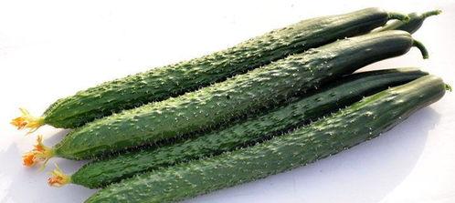 青瓜白瓜怎么吃,青瓜白瓜的多彩食法探索