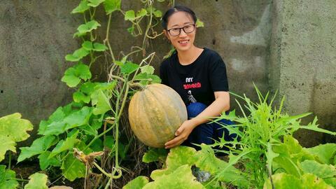 农村吃瓜最新,品味生活，共享田园乐趣