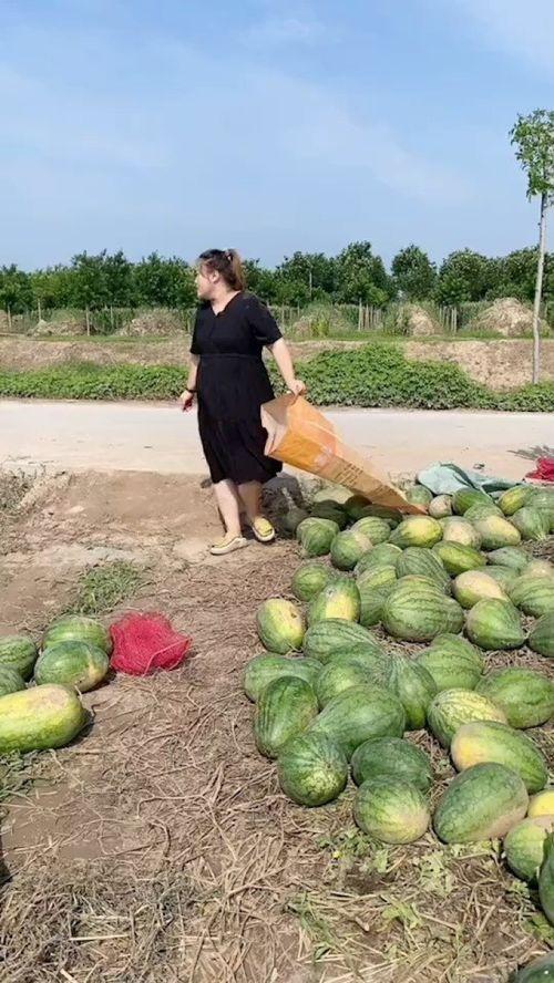 农村吃瓜最新,品味生活，共享田园乐趣