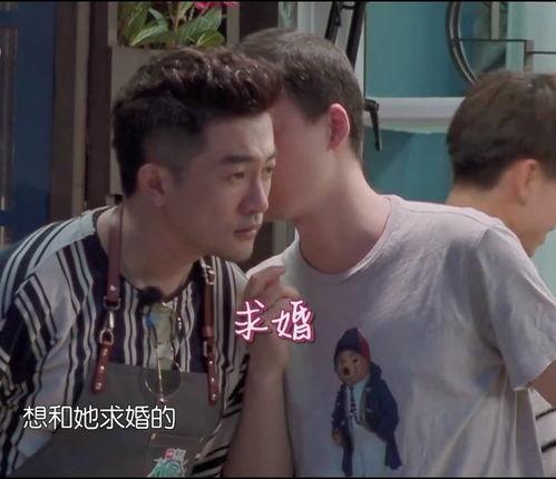 吃瓜被感动视频,一场吃瓜引发的感动之旅