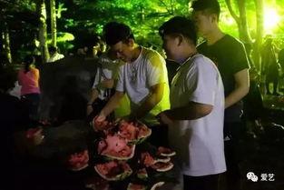 国外恶作剧吃瓜事件,一场跨国界的“吃瓜”盛宴