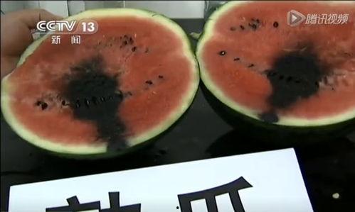 瓜瓜吃瓜视频0,揭秘娱乐圈幕后故事