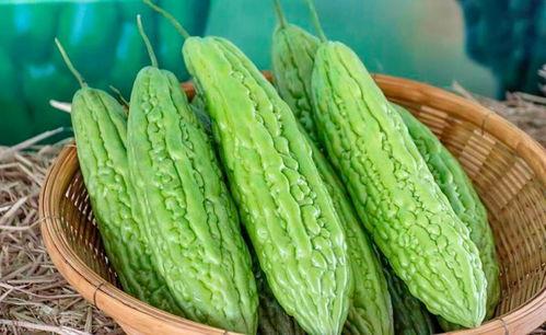 生活中吃瓜,揭秘日常吃瓜背后的趣味与智慧