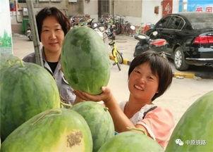 黑灯吃瓜,揭秘夜幕下的神秘故事