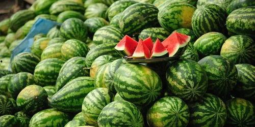 今日吃瓜必吃大瓜每日分享,揭秘吃瓜必吃大瓜每日分享