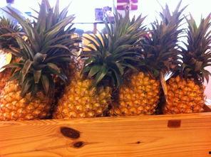 朝阳NaNaTaipei吃瓜,一场吃瓜盛宴背后的故事